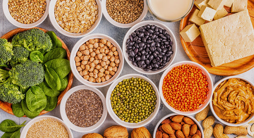 Top 10 Plant Based Protein Sources