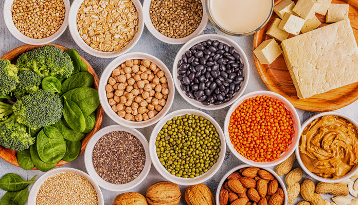 Top 10 Plant Based Protein Sources