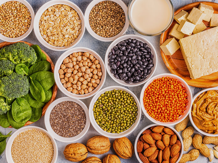 Top 10 Plant Based Protein Sources