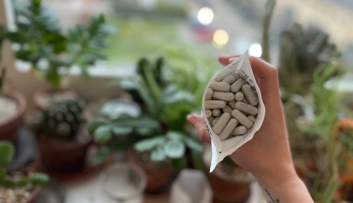 Multivitamins – Why should we take them?